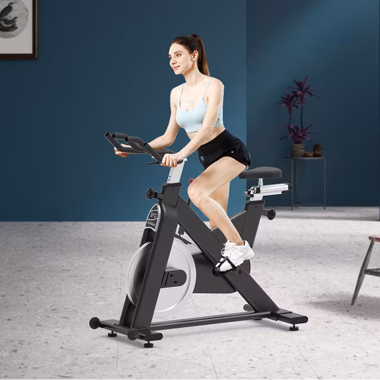 Magnetic Mini Fitness Exercise Spinning Bike for Indoor Gym Training
