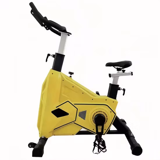 Professional 6kg 8kg 13kg Exercise Spinning Bike for Home Use