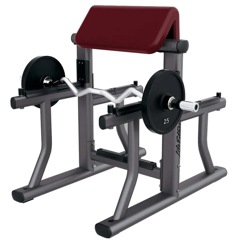 Fitness Home Gym Use Roman Chair Weight Bench