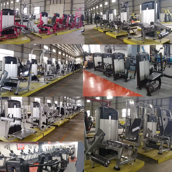 China Wholesale Gym Equipment Lifting Squat Rack Weight Rack